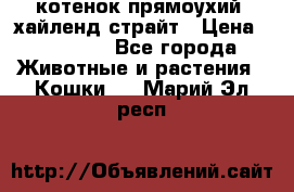 котенок прямоухий  хайленд страйт › Цена ­ 10 000 - Все города Животные и растения » Кошки   . Марий Эл респ.